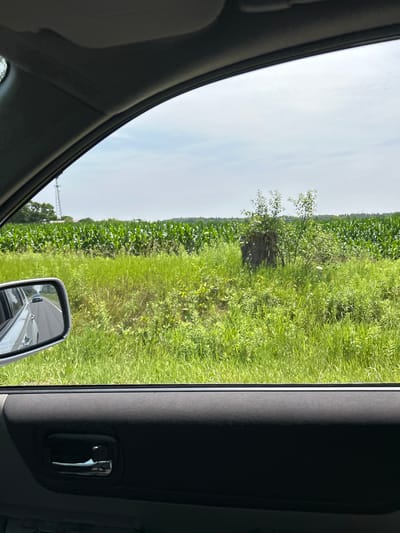 The image is a view from inside a vehicle, looking out the passenger window at a rural landscape. The foreground shows the interior of the car, including a portion of the door panel and door handle. To the left, a side-view mirror reflects the road behind and another vehicle. The main focus of the image is a large field of corn stretching towards the horizon, bordered by a strip of green grass and weeds in the middle ground. A transmission tower is visible in the distance on the left, and a tree stump with a small sapling growing from it is situated in the grassy area. The sky is mostly clear with some scattered clouds. There are no people or specific landmarks that would indicate a location within the city of Vaughan, Canada.