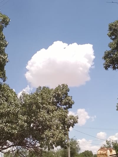 The image depicts a bright, daytime sky with a single, fluffy white cloud prominently positioned in the center. The sky is a clear blue, with some smaller, scattered clouds visible towards the horizon. The foreground is dominated by the lush green foliage of trees, with branches and leaves creating a textured frame around the sky. Power lines are visible stretching across the scene, partially obscured by the trees. In the lower right corner, a rusty, cylindrical object, possibly a tank or silo, is partially visible. The overall impression is of an outdoor scene in a possibly rural or semi-rural area, under a clear sky, with vegetation and man-made structures present.