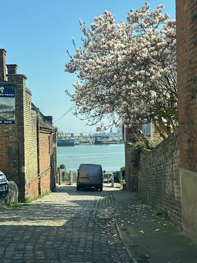 The image depicts a steep, descending cobblestone street in Rochester, United Kingdom, bathed in bright daylight under a clear blue sky. On the left, a two-story brick building displays a blue pub sign for "Shepherd Neame" and "PILGRIM'S REST / ROSE." A white vehicle is partially visible, parked by this building. On the right, a tall, weathered brick wall runs alongside a narrow paved sidewalk. A large magnolia tree, with numerous pale pink and white flowers, fully blooms above the right wall, casting shadows and scattering petals on the sidewalk. At the bottom of the street, a grey panel van (UK license plate DU69 ZXA) is parked, facing a wide body of water, identified as the River Medway. In the background across the water, a marina with multiple boats and distant structures are visible. Metal railings and a white bench are discernible near the water's edge behind the van. No people are present in the scene.