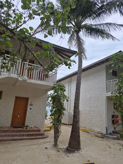 The photograph depicts a seaside scene in Huraa, Maldives, featuring two buildings constructed with white, pebble-dash exteriors. A palm tree dominates the left side of the frame, its trunk leaning diagonally across the front of the buildings. A leafy tree obscures parts of the buildings. The building on the right appears to be two stories, with a balcony. The building on the left has a wooden door with brick steps. Sand covers the ground, typical of a beach environment. The sky is visible in the upper portion of the image.