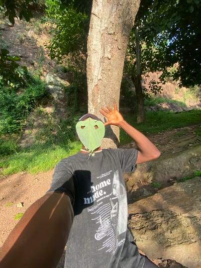 A person with dark skin is holding a green leaf in front of their face, obscuring their features. The leaf has two heart-shaped cutouts. They are wearing a dark t-shirt with white text and dark shorts. The person's left arm is extended with their hand open. They appear to be outdoors, near a large tree with textured bark. The background includes lush green foliage, rocks, and a dirt path, suggesting a natural, possibly wooded or hilly environment. Sunlight casts shadows, indicating it is daytime. The overall impression is one of playful interaction with nature. The text on the t-shirt is partially visible and appears to be in English. The location is contextually identified as Abofifia, Nigeria.