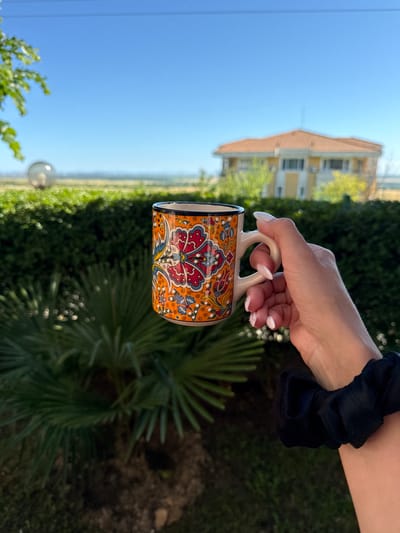 In Kosharitsa, Bulgaria, a hand with manicured nails is holding a decorative mug. The mug is white with an orange base and adorned with colorful floral patterns in red, blue, and yellow. The background features a clear blue sky above a manicured green hedge and palm fronds. In the distance, a yellow and orange tiled-roof house is visible. The overall scene appears to be set outdoors in a sunny, tranquil environment.
