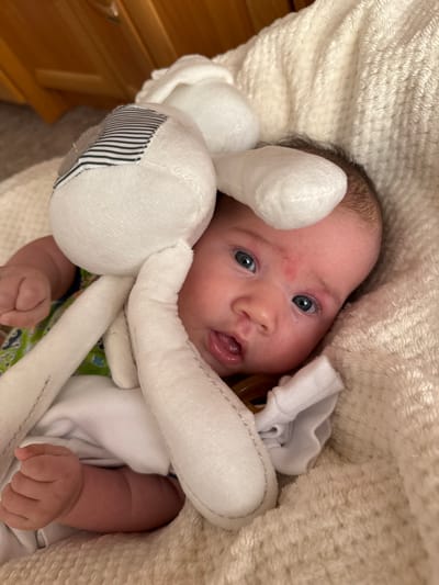 A newborn baby is cradled by a plush bunny toy, partially obscured by its limbs and ears. The baby, with wide blue eyes and dark hair, has a faint red mark on its forehead. A pacifier is visible near its mouth. The baby is dressed in a white onesie with a colorful pattern visible underneath. The scene is set against a soft, textured, cream-colored blanket. The background shows the edge of wooden furniture, possibly a dresser or crib. The overall impression is one of comfort and tenderness. This image was taken in a domestic setting, likely a home in the city of Vylgort, Russia.