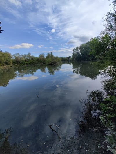 The image depicts a serene natural scene of a body of water, likely a lake or pond, surrounded by lush vegetation. The water's surface is calm, reflecting the bright blue sky dotted with scattered white clouds and contrails, as well as the green trees lining its banks. In the foreground, a few fallen branches are visible in the murky water near the edge. The environment suggests a park or a natural reserve. There are no people or any specific structures identifiable in the image that would allow for pinpointing a location within the city of Krushare, Bulgaria.