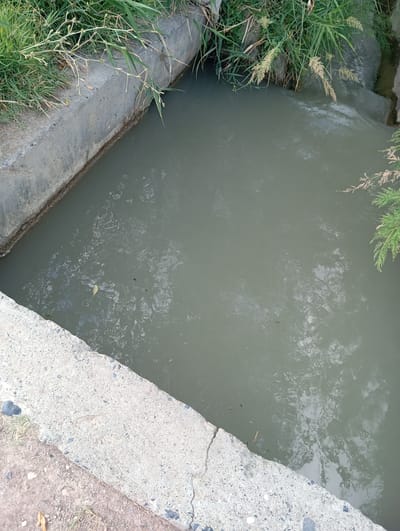 An outdoor, eye-level, full shot captures a concrete-lined canal filled with murky, grey water. The canal is situated in Kızıl-Bel, Kyrgyzstan. Dense green grass and reeds grow along the top edges of the concrete banks, with some dry stalks and seed heads visible. Sunlight reflects off the water's surface, creating patterns. A single yellow leaf floats on the water. Small dark specks are scattered across the water's surface, possibly debris or insects. The concrete structure appears aged and weathered.