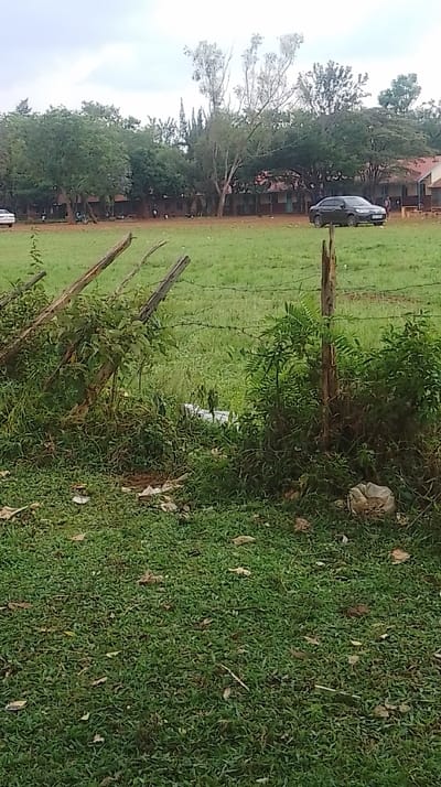 The image displays an outdoor scene in Siaya Township ward, Kenya, observed under an overcast sky. In the foreground, a strip of green grass is visible, containing scattered dry leaves and several pieces of white and brown litter. A dilapidated fence constructed from weathered wooden posts and multiple strands of barbed wire runs diagonally across the lower-middle of the frame. Dense green vegetation and weeds are integrated with the fence structure. A small, partially obscured white object rests behind the fence line.
The midground features a large, open field primarily covered in green grass, transitioning into patches of reddish-brown compacted earth towards the background. A dark-colored sedan, consistent with a Toyota Corolla, is parked facing right on the reddish-brown portion of the field. A white vehicle is partially visible on the far left side of the field. Approximately five to ten small, indistinct human figures are scattered across the distant reddish-brown area, engaged in unidentifiable activities.
The background is dominated by a dense line of various trees, some tall with lighter bark and others with darker, fuller foliage. Through and above the tree line, several low-rise buildings with reddish-brown roofs and light-colored walls are partially visible, suggesting an institutional complex such as a school.