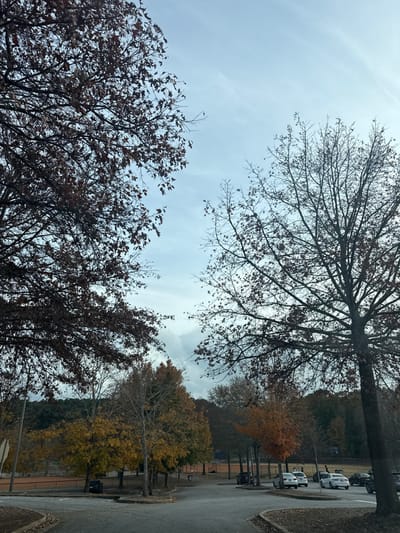 The image captures a cloudy sky framed by tree branches with sparse leaves, suggesting late autumn or early winter. Below, the landscape includes trees with varying degrees of foliage. A paved road runs along the right side of the image, with parked vehicles visible in the background. The overall scene depicts a calm, somewhat barren outdoor environment.