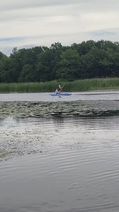 In Ramon, Russia, two individuals are paddleboarding on a body of water. The person in the foreground is seated on the blue paddleboard, while the person in the background is standing and holding a paddle. The water is calm and reflects the overcast sky. Lily pads and other aquatic plants are visible on the surface of the water, particularly in the foreground. A dense line of trees forms the background, with a slightly lighter, cloudy sky above.