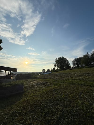The image depicts a rural landscape at sunset or sunrise, likely in the vicinity of Усть-Тунтор, Russia. The sky is a gradient of blue, with scattered white and wispy clouds. The sun is a bright, circular orb low on the horizon, casting a soft glow. In the foreground, a grassy field is visible, with some areas appearing freshly cut, indicated by scattered dried grass. To the left, there is a wooden structure, possibly a shed or a shelter, with some wooden planks and what appears to be a metal trough or basin underneath. A dark wooden planter box is situated in the lower left corner. In the middle ground, a collection of buildings, including what look like small houses and sheds, are scattered across a gentle slope. Several trees, some dense with foliage and others more sparse, are distributed throughout the scene, with a cluster of trees forming a darker mass on the right side of the frame. The overall impression is one of tranquility and natural beauty.