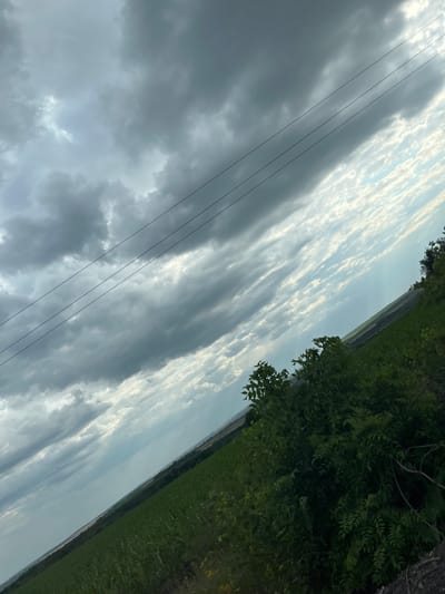 The image depicts a tilted view of a rural landscape near Petrivka, Ukraine, under a dramatic, cloudy sky. In the foreground, dense green foliage dominates the right side of the frame, with some of its leaves and branches casting shadows. A vast expanse of green crops, likely a field, stretches diagonally across the lower half of the image, suggesting agricultural land. Power lines are strung across the upper portion of the sky, running parallel to each other and angled downwards from left to right. The sky itself is a mix of dark, heavy clouds on the left and lighter, more textured clouds with visible sunlight breaking through on the right, creating a dynamic contrast. The overall impression is one of an overcast day with potential for changing weather over a rural agricultural area.
