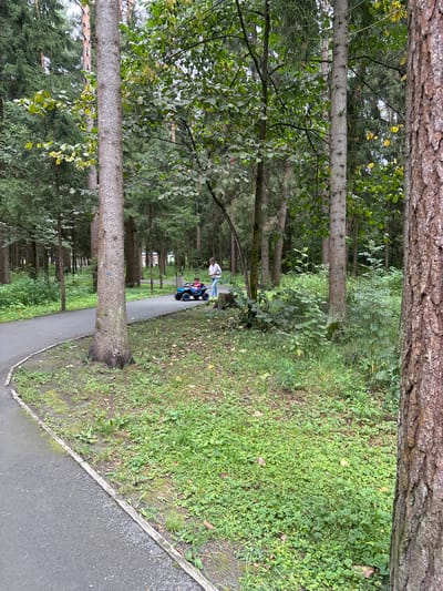An outdoor scene in a park in Pavlovskaya Sloboda, Russia, depicts two people on a paved path. A child is seated in a blue toy car on the path, while an adult stands beside it. The path winds through a wooded area with mature trees. The ground beside the path is covered in grass and low-lying green plants. The overall lighting suggests it is daytime.