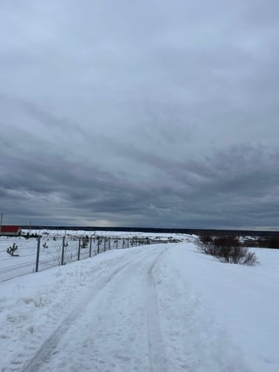 The image depicts a snow-covered landscape in Kalinino, Russia, under a heavily overcast sky composed of dark grey, layered clouds. A single-lane dirt track, visible with distinct vehicle tire impressions, traverses the foreground and recedes into the distant mid-ground. Parallel to the left side of this track runs a light grey modular metal grid fence, behind which several small coniferous trees are planted at regular intervals in the snow. Further left, a small structure with a red gabled roof and light-colored walls is partially visible, accompanied by utility poles and overhead wires. The area to the right of the track consists of undisturbed snow, featuring a clump of leafless bushes in the mid-ground. A dark, dense band of forest marks the horizon line. No individuals or animals are present in the scene.