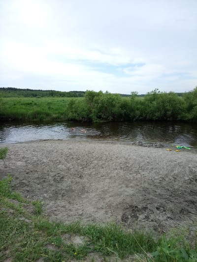 In Pankrushikha, Russia, a tranquil scene unfolds by a river. A sandy bank, littered with a few yellow flip-flops and green water toys, slopes down to the dark, calm water. Beyond the river, lush green grass and dense trees stretch towards a horizon of more distant trees under a pale, cloudy sky. In the water, two individuals are swimming, their heads visible above the surface as they enjoy a refreshing dip. The overall impression is one of peaceful rural leisure.