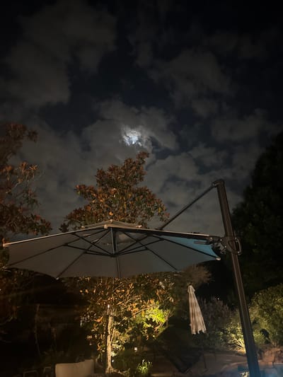 At night in Southlake, United States of America, an upward shot focuses on a partially opened gray patio umbrella. The umbrella's support pole extends out from the top right, with some hardware attached. The night sky is partially obscured by clouds, with a glimpse of the moon visible. Foliage fills the right side of the frame, some lit by an unseen light source. A closed, striped umbrella is also visible in the foliage.