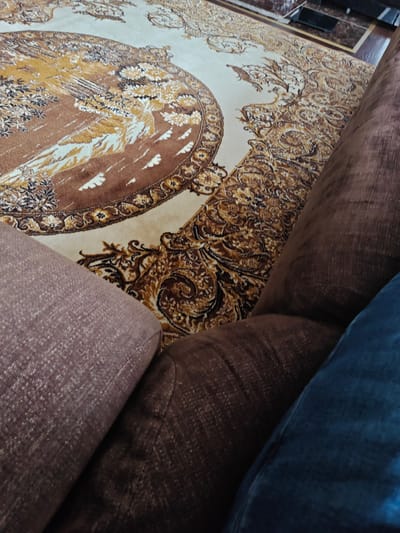 In Klenovo, Russia, a close-up indoor shot reveals a plush, circular rug with an ornate brown and beige pattern that resembles a landscape or a large floral design. The rug is partially covered by large, overstuffed pieces of furniture, possibly couch cushions. One cushion in the foreground is a muted mauve, while another to its right is a rich chocolate brown. A sliver of dark blue fabric, likely from another piece of furniture or clothing, is visible in the lower right corner. The lighting is dim, suggesting an indoor setting during the day or evening.
