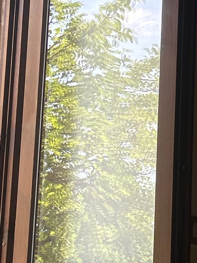 The image depicts a view through a window of green foliage from trees outside. The window frame is visible on the left and right sides of the image. The left frame is dark brown with vertical lines, while the right frame is lighter brown. The foliage is lush and green, with sunlight filtering through the leaves, creating a bright and airy atmosphere. The sky is visible through the leaves in some areas, appearing light blue. The overall scene suggests a natural outdoor environment viewed from an indoor location. There is no indication of the city of Militello in Val di Catania, Italy, or any specific details about people, subjects, objects, actions, or interactions.
