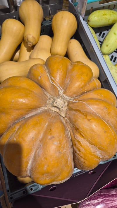 The image shows a close-up of a variety of squash and pumpkins in a retail setting. In the foreground, a large, ribbed, orange pumpkin is prominently displayed. Behind it and to the left, several butternut squash are arranged in a crate, their elongated, pale orange bodies clearly visible. Further back, light green squash with smooth skin are also visible in another crate. To the right of the pumpkin, the edge of a purple bin is visible, containing what appear to be striped eggplants. The overall impression is of a fresh produce display, likely in a market or grocery store, with the focus on the varied shapes and colors of the gourds. The lighting suggests an indoor setting, possibly during daytime, as there are no strong shadows indicating a specific time. The arrangement and presentation imply a commercial environment where these vegetables are being sold.