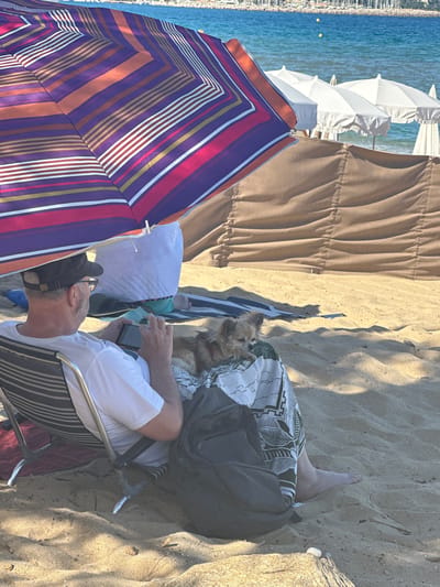 The image depicts a beach scene in Le Lavandou, France, under a striped beach umbrella. A man wearing a white t-shirt, a dark cap, and glasses is seated in a beach chair, holding a mobile device. A small, light-colored dog rests on the man's lap. To the right of the man, a dark backpack is placed on the sand. In the background, white beach umbrellas are set up, and the blue ocean is visible with a distant coastline and boats. A brown fabric barrier is positioned behind the beach chairs. The sand is golden and textured with shadows.