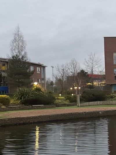 The image displays an outdoor scene, likely at dusk or on an overcast day, featuring a body of water, a landscaped area with a path, and several buildings, all under a muted gray sky. The image is oriented vertically, with the water on the right side and buildings on the left.

On the far right, a calm body of water, possibly a canal or pond, reflects the ambient light and artificial light sources. The water's surface is characterized by numerous parallel, slightly wavy lines of light and dark, suggesting gentle ripples. Several distinct, bright yellow-white reflections from unseen light sources on the left bank are visible on the water.

Separating the water from the land is a dark, textured retaining wall, possibly constructed from stones or gabion baskets. Adjacent to this wall, running horizontally across the mid-ground, is a light-colored pathway, which appears to be gravel or dirt. To the left of the path, a narrow strip of green grass or low ground cover is present.

Beyond the path and grass lies a landscaped area filled with trees and shrubs. Many of the trees are deciduous and appear bare, with their intricate branch structures silhouetted against the sky and buildings. There are also darker, denser evergreen shrubs. Within this green space, several modern outdoor light fixtures emit a warm, yellow-white glow, illuminating portions of the foliage and path. At least five such lights are clearly visible, appearing to be on short poles or integrated into the landscaping. A taller, slender pole, possibly for a utility or camera, stands in the background among the trees.

On the left side of the frame, several multi-story buildings are visible. They feature reddish-brown brick exteriors and multiple windows, some of which reflect the gray sky or internal lights. The architecture appears functional and contemporary. In the lower left corner, part of a building or structure with distinct blue and yellow panels adds a touch of color to the otherwise subdued palette.

The sky is uniformly overcast and gray, indicating either twilight hours or a heavily clouded day. The overall lighting suggests a low-light environment, with the artificial lights providing key points of illumination and warmth in the scene. No discernible text is visible in the image.