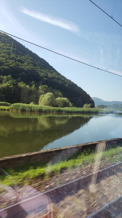 The image captures a scenic view of a body of water bordered by a densely forested hill and a clear blue sky. In the foreground, a wooden barrier runs along the bottom of the frame, with blurred green vegetation and tracks visible behind it, suggesting movement, possibly from a train or vehicle. The water's surface is calm, reflecting the surrounding trees and sky, with a line of reeds growing along the bank. The hill is covered in a variety of green trees, and a thin white cloud stretches across the sky. The scene is set in Šútovo, Slovakia, a location known for its natural beauty.
