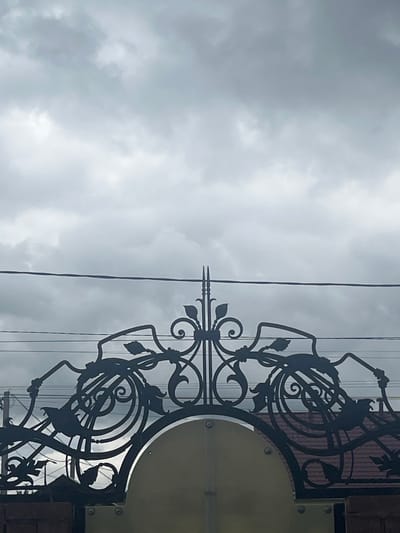 The image depicts a gray, cloudy sky above an ornate black metal gate. The gate features intricate scrolling metalwork with leaf-like and floral motifs. Below the gate, a portion of a building with a dark red, tiled roof is visible, along with brickwork at the base of the gate. Power lines run horizontally across the frame, intersecting the gate and the sky. The scene appears to be outdoors, with no people or active events captured. The location is specified as Pribrezhnyi, Russia, though no specific landmarks or contextual clues within the image confirm this location.