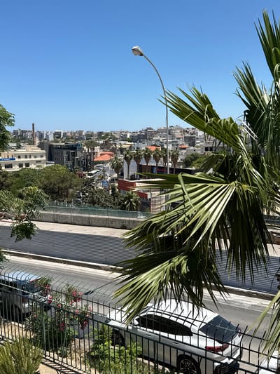 The image depicts an urban landscape viewed from an elevated position, with a clear blue sky overhead. In the foreground, a large palm tree with green fronds partially obscures the view. A black metal fence runs horizontally across the lower part of the frame, separating the viewer from a street below.
On the street, a white car is parked facing away from the camera, and to its left, a silver car is also visible. Pink flowers are blooming along the fence. The street itself is paved, with a grey barrier or wall running parallel to it on the other side. Beyond this, a cityscape unfolds, characterized by a dense arrangement of buildings of various sizes and architectural styles, predominantly white and grey, with some featuring red-tiled roofs. Numerous trees are interspersed throughout the urban area. In the distance, a tall, slender brick chimney stands out against the backdrop of buildings. A lamppost with a curved arm is visible in the mid-ground, extending into the sky. The overall scene suggests a sunny day in an urban environment, possibly a residential or mixed-use area.
Based on the architectural style of the buildings, the presence of palm trees, and the general urban layout, this scene is likely located in the city of Heraklion Municipal Unit, Greece.