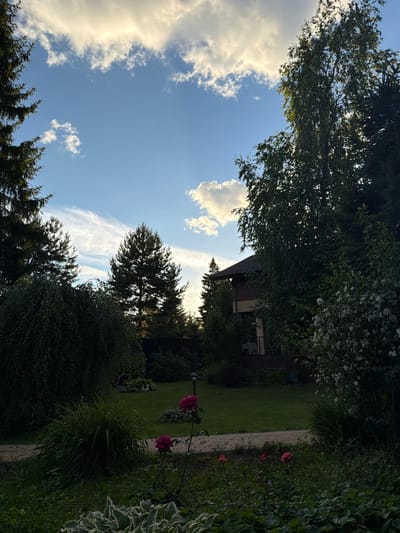 This image depicts a suburban backyard in the village of Zimyionki, Russia, under a partially cloudy sky. The foreground features a pathway and lush green grass, interspersed with hosta plants and two pink roses in bloom. Further back, a tall, bushy plant and a weeping tree are visible, along with a light post. Beyond these elements, a two-story house with brick and brown siding is partially obscured by dense foliage. The background consists of a dense cluster of trees, including pine and birch varieties, against a sky illuminated by the late afternoon or early evening sun, with scattered clouds catching the light. The overall impression is one of a well-maintained, private garden space.