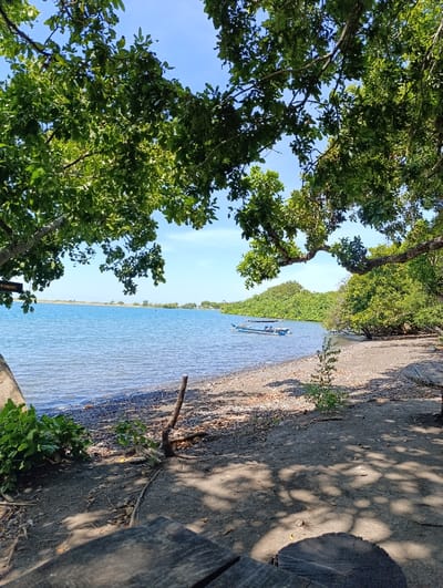 A view of a beach in Kecamatan Banyuputih, Indonesia (latitude: -7.756, longitude: 114.374), looking out towards a calm, blue body of water. The shoreline is covered with sand and pebbles. A small boat is docked on the water in the distance. Several trees are in the foreground and background, casting shadows on the sand. The sky is clear and blue. There are no people visible in the image. A sign with faded lettering can be seen in the foreground. The beach has a peaceful and serene ambiance.