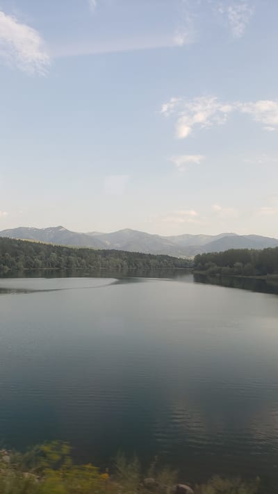 A vertical, medium shot depicts a serene, wide body of water reflecting a hazy sky. The water, in shades of deep blue and gray, is calm with faint ripples. Along the distant horizon, a dense line of dark green trees forms a lush border, transitioning into a range of muted, layered mountains in the background. The sky above is a pale blue, sparsely dotted with wispy white clouds. The foreground, at the bottom of the frame, shows a blurred hint of green foliage, suggesting a natural embankment or vegetation passing by. The overall impression is one of natural beauty and tranquility. This scene is likely the Liptovská Mara reservoir, located near the village of Vlachy, Slovakia, a popular tourist destination known for its scenic landscape and recreational activities.