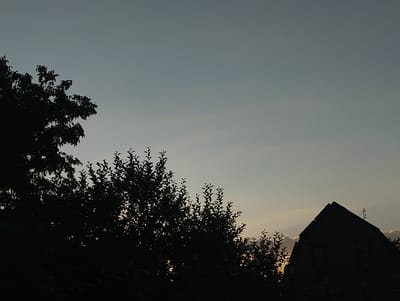 The image depicts a silhouetted view of trees and a building against a dusky sky in Mykhnivtsi, Ukraine. The sky is a gradient of pale blue to a lighter hue near the horizon, with faint wisps of clouds visible. On the left side of the image, the dense foliage of trees is silhouetted against the sky. In the lower portion of the image, a dark, ornate fence-like structure runs horizontally. To the right, the peaked roof and facade of a building are visible in silhouette, with an antenna on the rooftop. The overall impression is one of twilight or early evening. No people or specific actions are discernable.