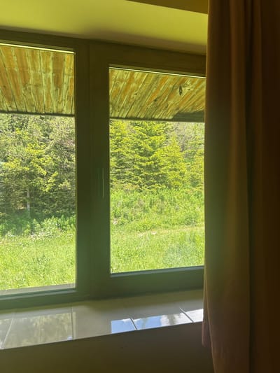 The image shows a view through a window, looking out onto a green landscape with trees and grass. The window frame is dark brown. On the left side of the frame, there is a wooden wall. The view is divided into two sections by a horizontal bar. The overall scene appears to be outdoors, possibly a yard or garden. The lighting suggests it is daytime. The view is a natural outdoor scene, with no people or specific activities visible. The image is dominated by green hues from the foliage and grass, and brown tones from the wooden wall and window frame. The location context is Cherna Mesta, Bulgaria.