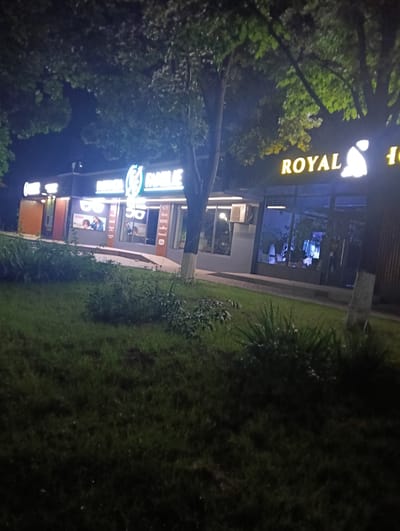 The image shows a nighttime view of a street in Florești, Moldova. In the foreground, there is a patch of grass and some bushes. Behind the bushes, there are several storefronts. To the left, a store with an orange facade is visible, with a sign that appears to say "BRISTOL". Next to it is a store with neon signs that read "FAMILIA" and what seems to be "FARMACIA" in Cyrillic. This store has large windows displaying posters of people. Further to the right, another storefront has a neon sign that says "ROYAL" with a silhouette of a dog. This store also has large windows. Trees with green leaves hang over the storefronts. The overall lighting suggests it is dark outside, with artificial lights from the signs and interior illumination of the stores illuminating the scene.