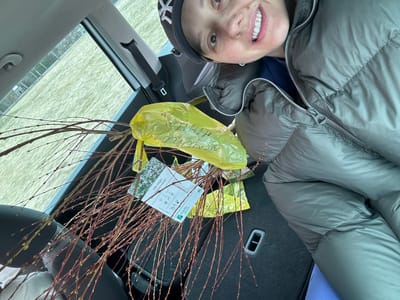 The image is a selfie taken inside a car, possibly in Ādaži, Latvia. A smiling woman with a New York Yankees baseball cap and a gray puffer jacket is looking at the camera. In the back of the car, there's a bundle of bare branches, likely shrub or tree saplings, partially contained in a yellow plastic bag. A plant tag is visible among the branches, bearing the text "Salix integra 'Hakuro-nishiki'". The background visible through the car window appears to be a flat, possibly watery or grassy landscape under overcast skies.