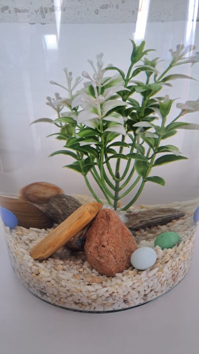 The media file shows a close-up, rotated view of a small aquarium, likely a betta fish tank. The primary subjects are an artificial green plant with white flowers and several decorative elements within the tank. These include a large, reddish-orange rock, a piece of light-colored driftwood, small white pebbles covering the bottom, and two smooth, round marbles, one light blue and one green. A portion of a fish, identifiable by its blue and brown fins, is visible peeking out from behind the driftwood and rock.
The scene is a close-up of the aquarium's interior, with the curved glass of the tank visible on the right side. The background appears to be a plain, light-colored surface, possibly a table or wall. Light is reflecting off the glass and water, creating bright highlights and a somewhat distorted view of the plant's reflection in the water. There are also small bubbles clinging to the inside of the glass on the left side of the frame.
The activity taking place is implied to be the observation of the fish in its habitat. There are no people or explicit events depicted. Notable details include the artificial nature of the plant, suggesting it's an ornamental setup. The lighting suggests it is daytime, and the overall impression is a still-life arrangement within an aquarium. There is no visible text in the media file. The location context of Krosno Odrzańskie, Poland, provides an external reference but is not visually represented in the image itself.