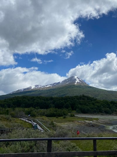 A mountain range with light snow on its peaks sits beside a bright blue sky with billowing white clouds. Lush green forest covers the mountain’s base, transitioning to lighter green and brown wetland. A wooden staircase structure descends the slope, leading to a red marker on the ground. A dark wooden structure, possibly a fence, is partially visible on the far right of the frame. The landscape is viewed from a slight upward angle.