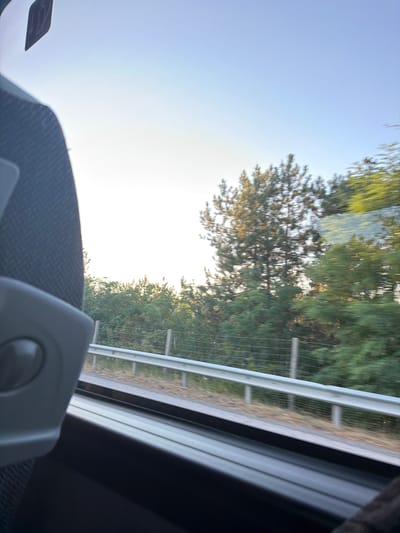 The image captures a view from inside a vehicle, likely a bus, looking out a window. In the foreground, the edge of a dark, upholstered seat and a grey plastic armrest with a circular dial are visible on the left. The window reveals a blurred landscape of trees and foliage, suggesting the vehicle is in motion. A white metal guardrail runs horizontally across the middle ground, separating the road from the greenery. Beyond the guardrail, a dense collection of trees, including a prominent pine tree, are visible against a clear, pale blue sky. The lighting indicates it is likely late afternoon or early morning, with the sun casting a warm glow on the trees. There is no indication of the specific location within the city of Gorno Varshilo, Bulgaria, nor are there any people or specific actions depicted.