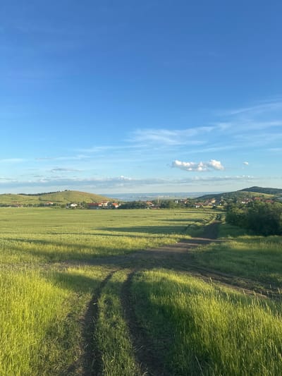The image depicts a rural landscape in Bryastovets, Bulgaria. A dirt path runs along the edge of a field of green grass or grain, likely wheat or barley. In the distance, there are houses and trees. The sky is blue with some white clouds. The image is taken from a slightly elevated position.