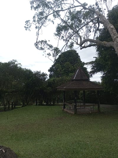 A gazebo stands in a grassy clearing surrounded by trees under a cloudy sky. The gazebo has a dark roof and supports, with bench seating inside. An overhanging tree branch frames the top of the image. The clearing appears to be part of a park or garden. The lighting is soft, contributing to a peaceful, somewhat muted atmosphere.