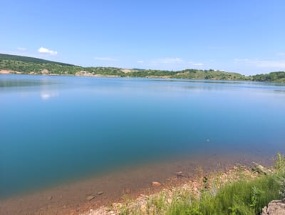 The image depicts a wide, calm, turquoise lake under a clear, bright blue sky. The shoreline in the foreground is rocky and covered with sparse vegetation, including green grasses and some taller plants. The water is clear enough to see the rocky bottom near the edge. In the distance, rolling hills covered in green trees and patches of brown earth form the opposite bank of the lake. The horizon is clearly defined where the water meets the distant hills. The scene is serene and natural, characteristic of a landscape in a rural or natural setting.