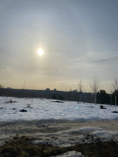 The image captures an outdoor scene in Марфино, Russia, under bright sunlight, indicative of late winter or early spring. The foreground consists of a gently sloping field primarily covered in patchy, melting snow, revealing areas of dark, wet earth and dried vegetation underneath. Several slender, deciduous trees, devoid of leaves, are sparsely distributed across the snowy field, with a more pronounced row visible along the right midground. In the distant background, a dense line of bare trees merges with the silhouettes of multiple multi-story urban buildings, forming a discernible cityscape against the horizon. The sun, a bright, prominent white orb with a visible halo, is positioned in the upper-left quadrant of the frame within a hazy, light grey-blue sky. No individuals, animals, or significant actions are depicted. A small blue-green lens flare is visible in the mid-right field.