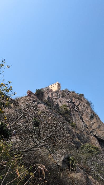 This image displays a steep, rocky hill in Kadaladi, India, viewed from its base looking upward under a clear light blue sky. At the hill's prominent summit, slightly left of center, stands a multi-story building constructed of light tan or yellowish material, featuring multiple windows. The hill itself is composed of dark grey and brown rock formations, exhibiting visible fissures and sparse vegetation consisting of dry bushes and trees, some with bare branches. An ascending path or staircase, sections of which appear to have red or orange railings, is discernible on the upper slope, leading directly towards the summit building. Several indistinct human figures are visible on this path, ascending the hill. In the lower-left foreground, branches of a tree with sparse yellow blossoms and other dry foliage partially obscure the immediate view. A light brown monkey is present on a branch in the far lower-left corner of the image.
