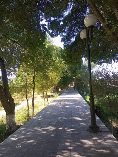 The image depicts a paved pathway lined with trees on both sides, leading into the distance. The pathway is made of grey rectangular tiles and is bathed in sunlight, casting dappled shadows from the overhead foliage. A double-headed lamppost stands prominently on the right side of the path, its white globes illuminated by the sun. The trees are leafy and green, with some bare trunks visible. To the left of the path, beyond the trees, is an area of dry grass and vegetation. To the right, there is a dense growth of green foliage and smaller trees. The pathway appears to be in a park or a landscaped area within the city of Shar-Bakr, Uzbekistan, given the context provided. There are no people or animals visible in the scene. The overall impression is one of a peaceful, shaded walkway on a sunny day.
