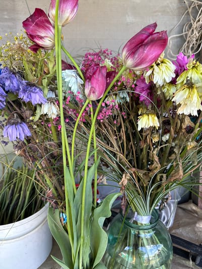 The image shows a wilting bouquet of flowers in a cylindrical, light green glass vase, tied with a pale ribbon. The flowers include purple tulips, faded yellow and white chrysanthemums, and various other dried flowers in shades of purple, white, and yellow. Some thin, green grasses and dried stems are visible. The bouquet is placed on a concrete surface next to a white plastic bucket and some coiled natural rope. The location is not discernible from the image.
