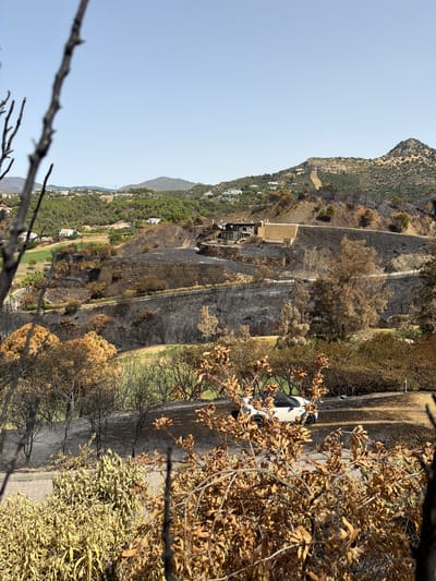 The image depicts a landscape in Montemayor, Spain, showing evidence of a recent fire. The scene is characterized by a hillside covered in scorched vegetation, with burnt trees and dried leaves dominating the foreground and mid-ground. A road or pathway runs through the scene, bordered by the damaged flora.
In the middle ground, a building with a light-colored roof and dark walls is visible, situated on a terraced slope. Further up the hill, white houses are scattered amongst the trees, some of which appear green and unaffected, while others show signs of burning. The overall impression is of a landscape recovering or struggling to recover from a wildfire.
In the right portion of the image, a white car is parked near the road, partially obscured by the dry, brown branches of a tree in the foreground. The sky is clear and blue, suggesting a sunny day, likely during daylight hours. The vegetation's state indicates that the fire has passed, and the environment is now in a post-event phase. The contrast between the burnt areas and the remaining green patches of vegetation, along with the scattered houses, creates a somber yet resilient visual narrative.