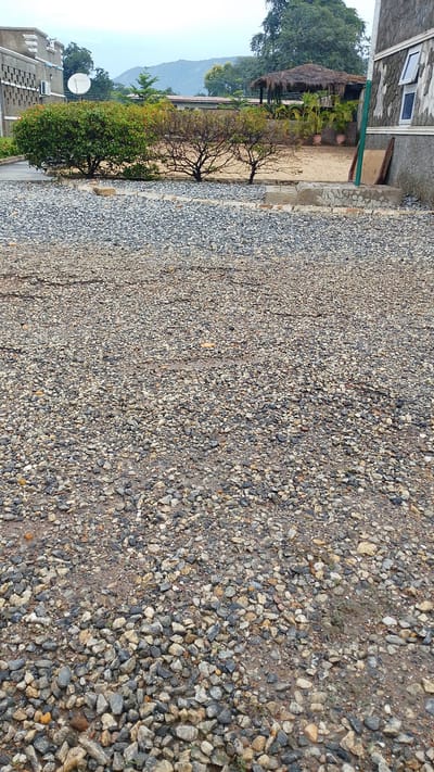 The image depicts an outdoor scene in front of a building, possibly a guesthouse or residential complex, in Balewa, Nigeria. The foreground is dominated by a gravel-covered area, which appears to be a pathway or parking lot, with scattered pebbles and some wet patches indicating recent rain. In the middle ground, there are two distinct bushes with green foliage and some reddish-orange flowers or berries. Behind these bushes, a thatched-roof structure, resembling a pavilion or gazebo, is visible with potted plants arranged in front of it. The background features a building with a textured facade and windows, and further back, a range of hills or mountains can be seen under an overcast sky. The overall impression is of a somewhat rustic but maintained outdoor space.