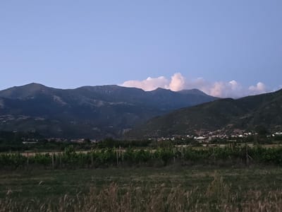 The image depicts a rural landscape near the village of Smochevo, Bulgaria, during twilight. In the foreground, a field of dry grasses and vegetation leads to a row of green grapevines supported by wooden posts. Beyond the vineyards, a small village with scattered houses is visible nestled at the foot of a mountain range. The mountains, covered in dark vegetation, dominate the background and are partially illuminated by the fading sunlight. Wispy clouds, tinged with pink and orange hues, are scattered across the pale blue twilight sky above the mountain peaks. The overall scene conveys a sense of tranquility and natural beauty.