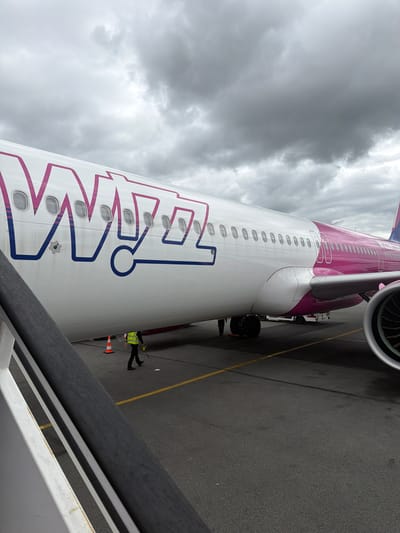 The image displays a Wizz Air passenger aircraft parked on an airport tarmac under an overcast sky. The plane's fuselage is predominantly white, featuring the prominent "WIZZ" logo in magenta and blue outline on its side. Numerous oval windows are visible along the aircraft's length, with the upper portion of the fuselage painted in a distinctive magenta hue. Part of an engine nacelle is visible at the top right, showcasing its intricate fan blades.

On the asphalt tarmac below the aircraft, a person wearing a high-visibility yellow vest and dark clothing, likely airport ground staff, stands near the plane. An orange safety cone is also visible on the tarmac, which is marked with yellow lines. The photograph appears to be taken from a raised vantage point, such as a jet bridge or mobile boarding stairs, indicated by the dark and white railing partially visible in the foreground.

The heavily clouded sky suggests a dull or possibly gloomy day. The scene depicts typical airport operations, with the aircraft either being prepared for departure, undergoing boarding, or recently having arrived. The presence of ground staff and the nature of the aircraft point to a commercial airport setting. Given the context, the location is Tillé, France, corresponding to Beauvais–Tillé Airport.