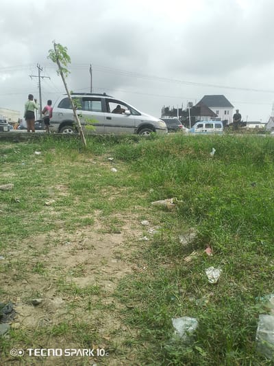 The image depicts a street scene in Awoyaya, Nigeria, under an overcast sky. In the foreground, a patch of unkempt grass and dirt is littered with plastic waste, including a white plastic bag and other debris. A thin sapling, propped up by a stick, stands in the grass. Behind this, a silver minivan is parked on the side of a paved road. Two young women are visible near the minivan; one, wearing a green striped shirt and a dark skirt, stands facing away from the camera, while the other, in a pink shirt and dark shorts, is also facing away, looking towards the road. A person is seated in the driver's seat of the minivan. Further down the road, several other vehicles are present, including a white van and a dark-colored car. In the background, residential buildings and utility poles with power lines are visible. A man wearing a dark shirt and a light-colored cap stands on the right side of the frame, facing the road. The overall impression is one of a typical roadside environment in a Nigerian town.