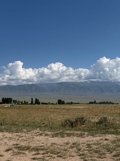 A vast, dry grassland stretches towards a distant line of trees and mountains under a bright blue sky dotted with fluffy white clouds. The foreground is characterized by sparse, dry grass and patches of exposed soil. In the middle ground, a line of tall, slender trees is visible, interspersed with what appear to be small buildings or structures, suggesting a rural settlement. Behind the trees, rolling hills lead to a majestic mountain range that dominates the horizon. The mountains are a muted green and grey, with hints of snow or ice visible on their peaks, particularly in the center. The overall impression is one of a wide, open, and arid landscape. Based on the provided context, this scene depicts a landscape near the village of Koshkol', Kyrgyzstan. There are no people or animals visible in the image.