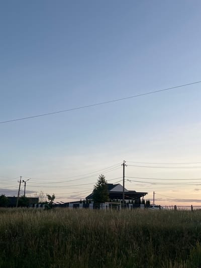 The image shows a rural landscape at dusk, likely in the city of Koroviia, Ukraine. The foreground is dominated by tall, wild grasses. In the midground, a modern building with a dark roof and white walls is visible, surrounded by a fence. Power lines crisscross the scene, supported by utility poles. A single tree stands in front of the building. The sky is a clear, pale blue, transitioning to a lighter hue near the horizon, indicating the end of daylight. There are no people or visible animals in the image.